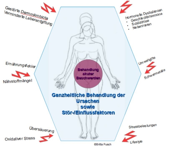 Therapiekonzept Therapieschema