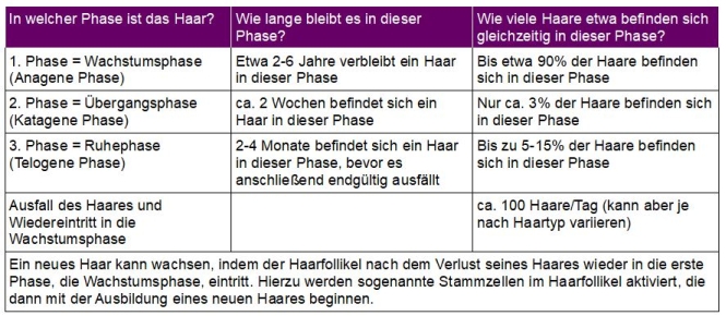 Die Phasen des Haarwachstums Das Haarwachstum in Phasen