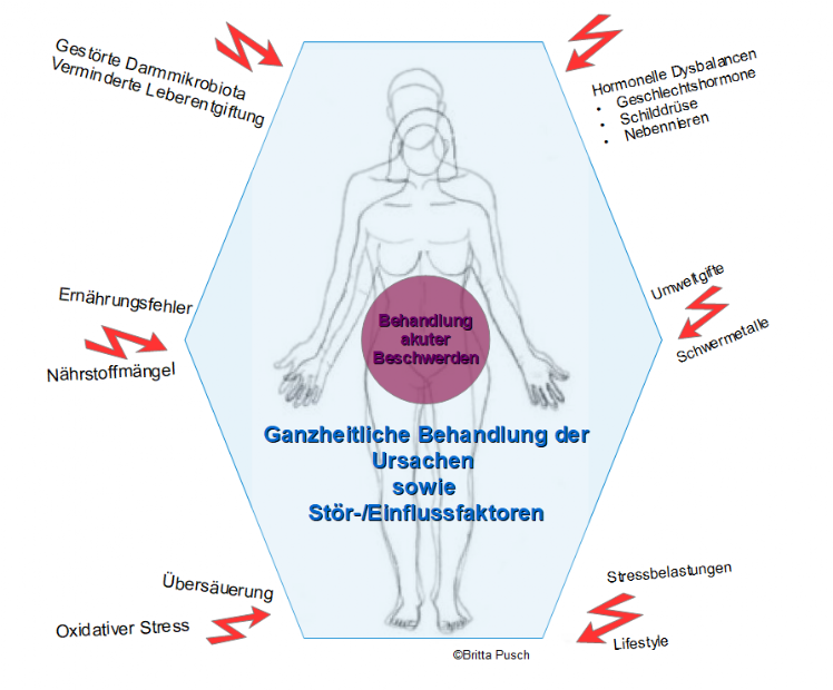 Therapiekonzept Therapieschema